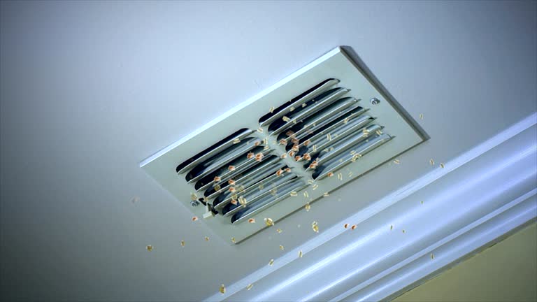 Best Commercial Air Duct Cleaning  in Palo, IA