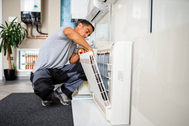 Best Air Duct Inspection  in Palo, IA