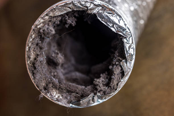 Best Air Vent Cleaning Services  in Palo, IA