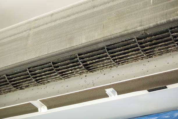 Best Air Duct Cleaning Near Me  in Palo, IA