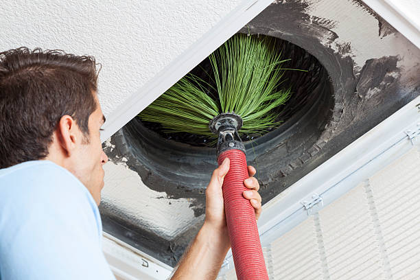 Best Local Air Duct Cleaning Services  in Palo, IA