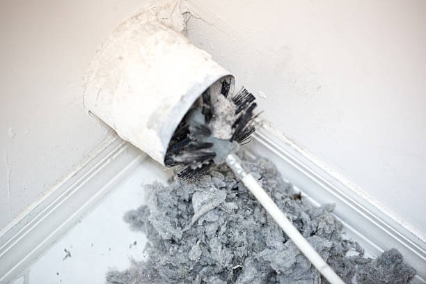 Best Dryer Vent Cleaning Services  in Palo, IA